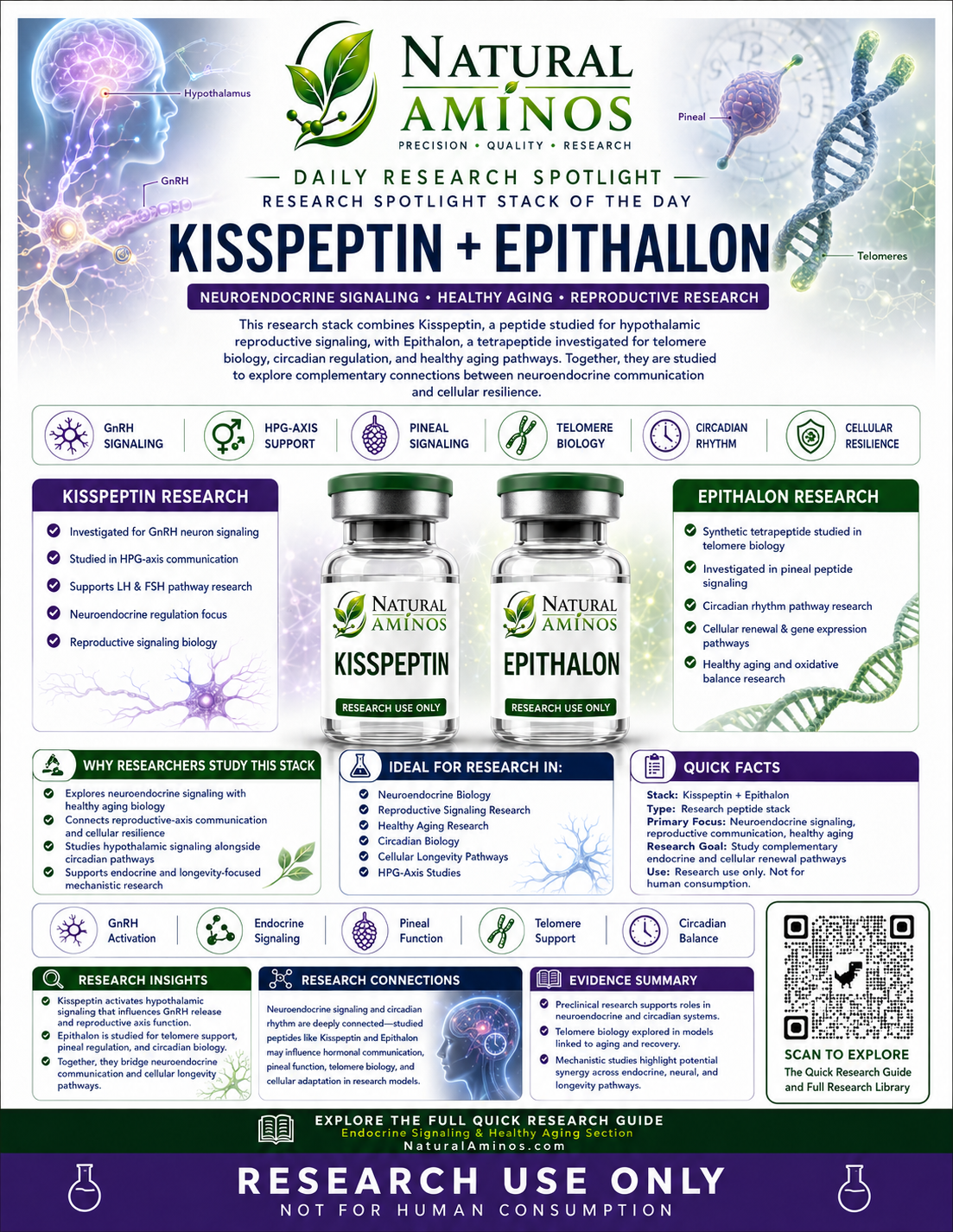 Kisspeptin + Epithalon research graphic